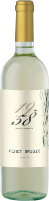 Castelnuove del Garda 1958 Wine Experience Pinot Gris — 灰皮诺 Delle Venezie 75 cl