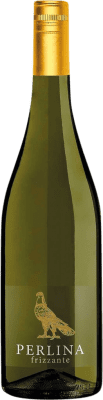 Beniamino Maschio Perlina Frizzante