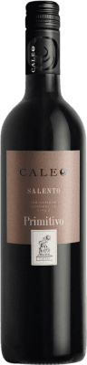 Botter Carlo Caleo Primitivo Salento 75 cl