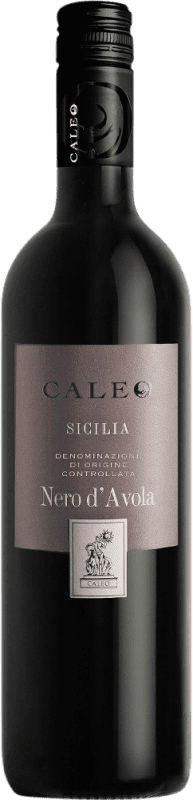 Free Shipping | Red wine Botter Carlo Caleo D.O.C. Sicilia Sicily Italy Nero d'Avola 75 cl