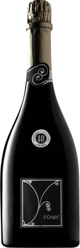 21,95 € Spedizione Gratuita | Spumante Bianco Collavini Il Grigio Metodo Charmat Lungo Brut