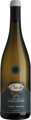 Collavini Villa Canlungo