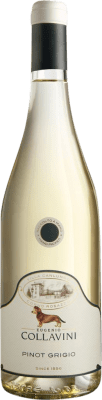 Collavini Villa Canlungo Pinot Grey Friuli-Venezia Giulia 75 cl