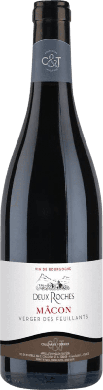 23,95 € Envío gratis | Vino tinto Collovray & Terrier Verger des Feuillants Rouge A.O.C. Mâcon