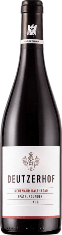 Free Shipping | Red wine Deutzerhof Balthasar C Dry Ahr Germany Pinot Black 75 cl