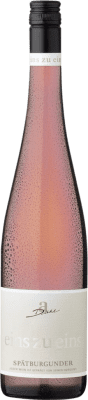 Diehl Eins zu Eins Pinot Noir — 黑皮诺 Trocken — 干型 Pfälz Rosé — 桃红葡萄酒 75 cl