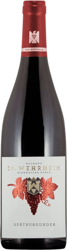 21,95 € Free Shipping | Red wine Dr. Wehrheim Dry Q.b.A. Pfälz