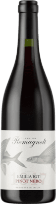 Edizione Viticoltore Pinot Black Emilia Romagna 75 cl