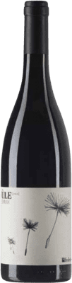 Federici Ùle Shiraz Syrah — Shiraz Lazio 75 cl