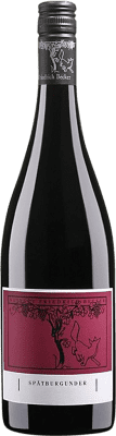 11,95 € | Красное вино Friedrich Becker Trocken — Сухое Q.b.A. Pfälz Пфальце Германия Pinot Noir — Пино Нуар Полубутылка 37 cl