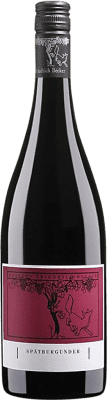 Free Shipping | Red wine Friedrich Becker Dry Q.b.A. Pfälz Pfälz Germany Pinot Black Half Bottle 37 cl