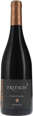 Fritsch P Pinot Noir — ピノ・ノワール Wagram 75 cl