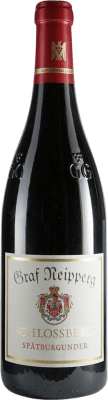 Graf Neipperg Schlossberg