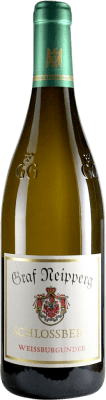 Graf Neipperg Schlossberg