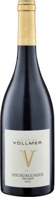 Heinrich Vollmer 50 HL Pinot Noir Trocken — Dry Pfälz 75 cl
