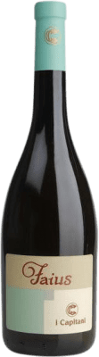 I Capitani Faius Bianco Irpinia 75 cl