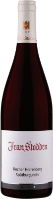 Jean Stodden Recher Pinot Noir Trocken — Seco Ahr VDP Ortswein — Vinho de Village 75 cl