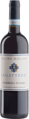 Mauro Molino Legattere Barbera Barbera d'Alba 75 cl