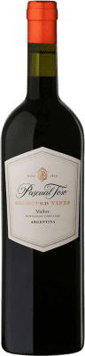 Pascual Toso Selected Vines Malbec Mendoza 75 cl