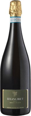 Pasini Trebbiano Brut — Bruto Lugana 75 cl