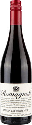 Romagnoli Vitae Pinot Black Emilia Romagna 75 cl