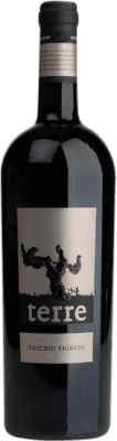 Campo di Sasso VV Vigne Vecchie — Старые лозы