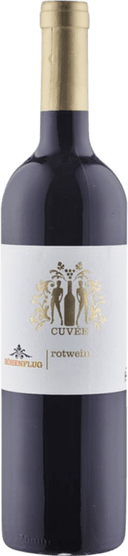 Envio grátis | Vinho Tinto Thomas Hensel Höhenflug Trocken — Seco Cuvée Q.b.A. Pfälz Pfälz Alemanha Merlot, Syrah, Cabernet Sauvignon 75 cl