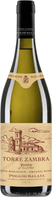 Torre Zambra Poggio Salaia Pecorino Terre di Chieti 75 cl