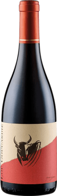 Domaine Gassier Lou Coucardié Rouge