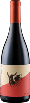 Domaine Gassier Lou Coucardié Rouge Costières de Nîmes 75 cl