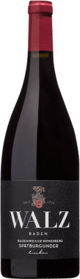 Walz Maltesergarten Alte Reben Pinot Black Baden 75 cl