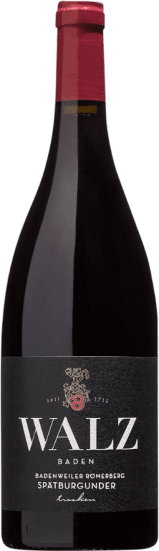 Envio grátis | Vinho Tinto Walz Maltesergarten Alte Reben — VV Vinhas Velhas I.G. Baden Baden Alemanha Pinot Noir 75 cl