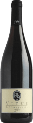 Joachim Heger Vitus Barrique Pinot Black ドライ Baden 75 cl