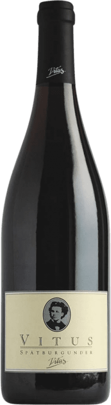 送料無料 | 赤ワイン Joachim Heger Vitus Trocken — 辛口 樽 I.G. Baden Baden ドイツ Pinot Noir — ピノ・ノワール 75 cl
