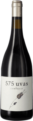 Cámbrico 575 Uvas Vino de la Tierra de Castilla y León 75 cl