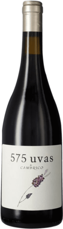23,95 € | Red wine Cámbrico 575 Uvas de Cámbrico I.G.P. Vino de la Tierra de Castilla y León Castilla la Mancha Spain Tempranillo, Grenache, Rufete 75 cl