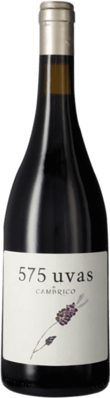 32,95 € 免费送货 | 红酒 Cámbrico 575 Uvas I.G.P. Vino de la Tierra de Castilla y León