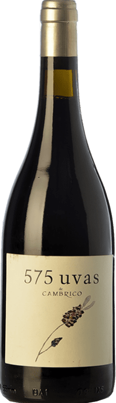 免费送货 | 红酒 Cámbrico 575 Uvas 岁 I.G.P. Vino de la Tierra de Castilla y León 卡斯蒂利亚 - 拉曼恰 西班牙 Tempranillo, Grenache, Rufete 75 cl