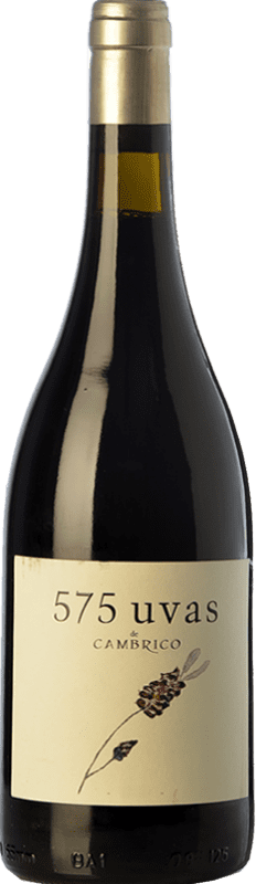 17,95 € Envío gratis | Vino tinto Cámbrico 575 Uvas Crianza I.G.P. Vino de la Tierra de Castilla y León Ecológico