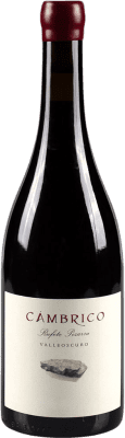 Cámbrico Pizarra