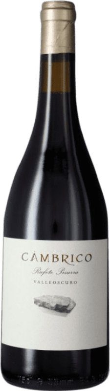 56,95 € | 红酒 Cámbrico Pizarra I.G.P. Vino de la Tierra de Castilla y León 卡斯蒂利亚 - 拉曼恰 西班牙 Rufete 75 cl