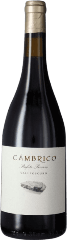 49,95 € | Красное вино Cámbrico Pizarra I.G.P. Vino de la Tierra de Castilla y León Кастилья-Ла-Манча Испания Rufete — Руфете 75 cl