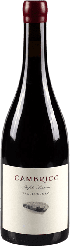 Kostenloser Versand | Rotwein Cámbrico Pizarra I.G.P. Vino de la Tierra de Castilla y León Kastilien-La Mancha Spanien Rufete 75 cl