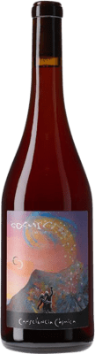 Còsmic Consciència Còsmica Cariñena — カリニャン Empordà 75 cl