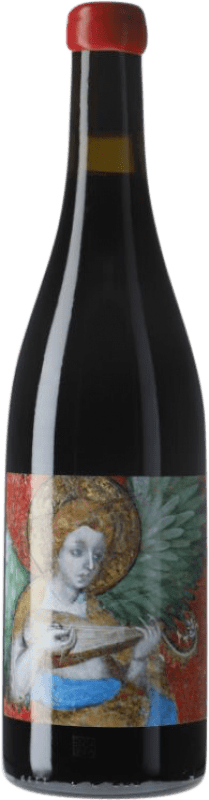 34,95 € Kostenloser Versand | Rotwein Domaine de l'Écu Virtus I.G.P. Val de Loire