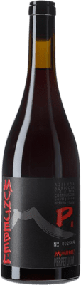 Frank Cornelissen Munjebel P Cuvée Perpetuum 2 Edition Rosso Nerello Mascalese Sicilia 75 cl