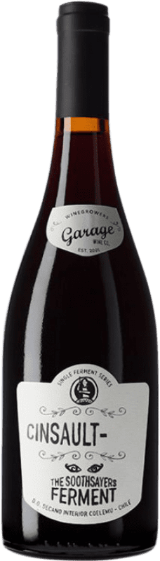 38,95 € 免费送货 | 红酒 Garage Wine The Soothsayer's Ferment I.G. Valle del Maule