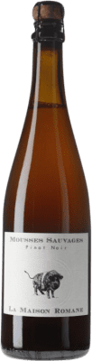 Bière Romane Mousses Sauvages