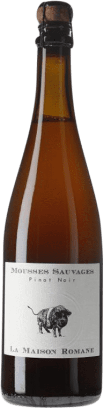 19,95 € Envoi gratuit | Bière Romane Mousses Sauvages