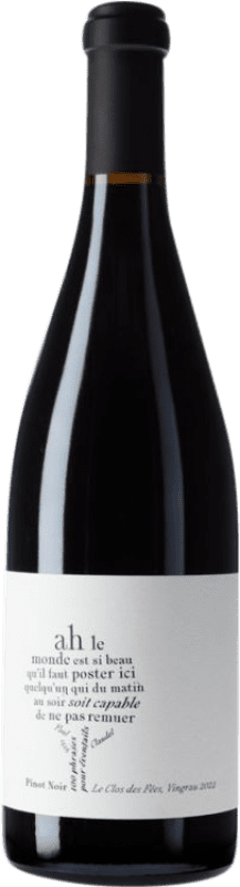 469,95 € Бесплатная доставка | Красное вино Le Clos des Fées Jean-Yves Bizot 100 Phrases pour Éventails I.G.P. Vin de Pays Côtes Catalanes